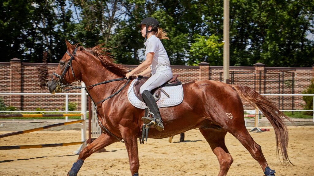 woman riding horse