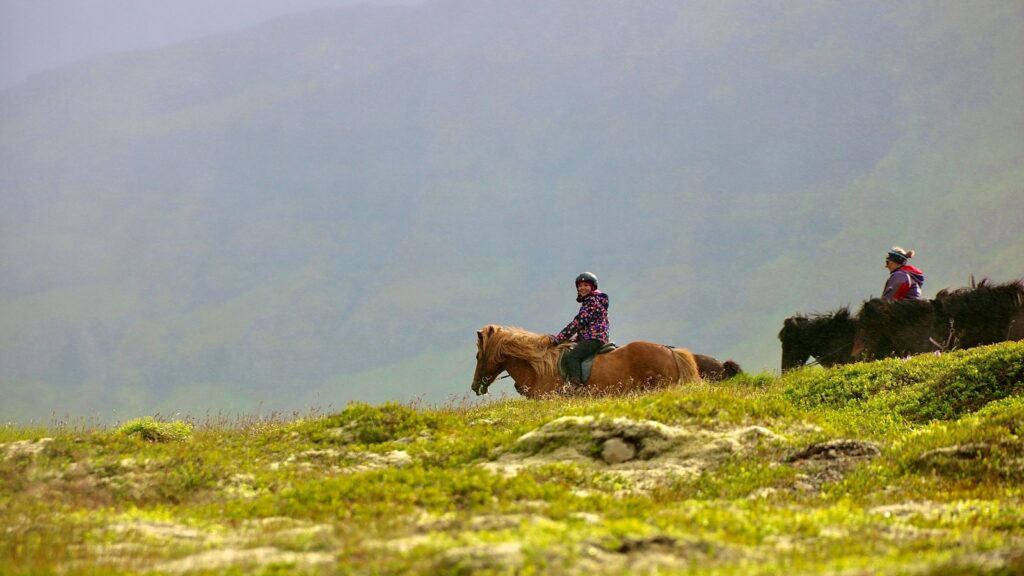 two people are riding horses on a grassy hill