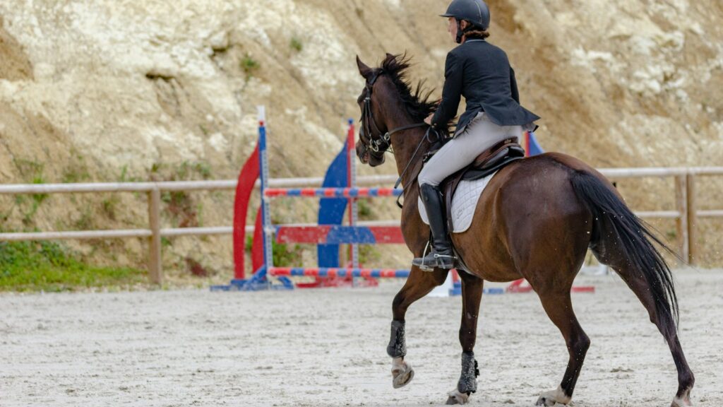woman in black jacket riding brown horse during daytime