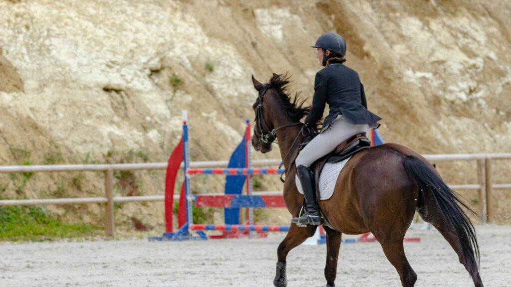 woman in black jacket riding brown horse during daytime