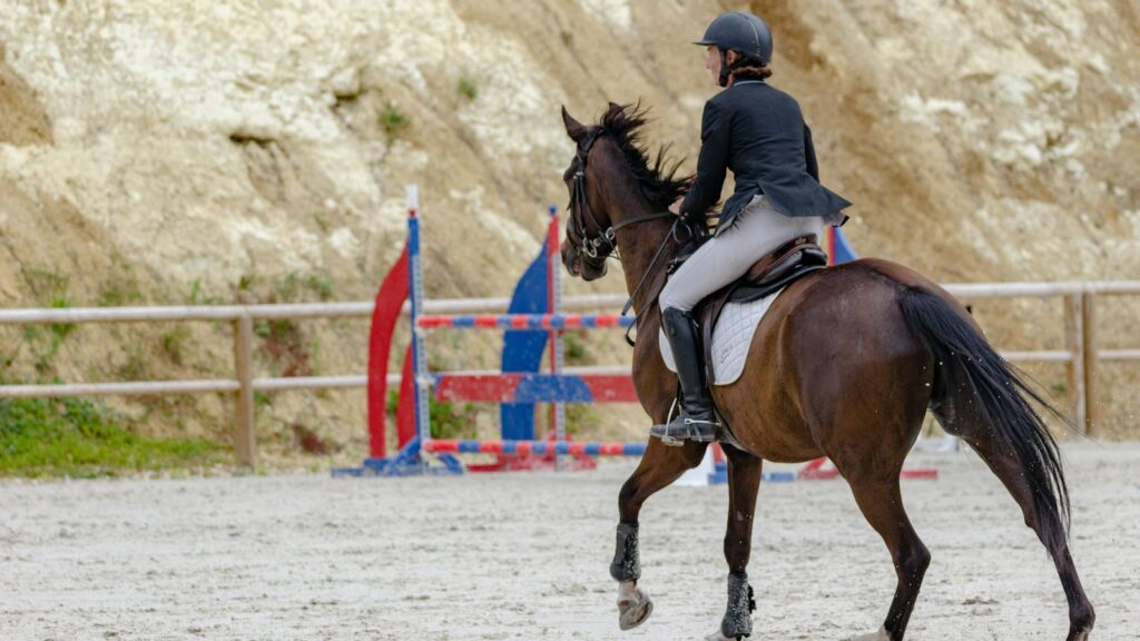 woman in black jacket riding brown horse during daytime