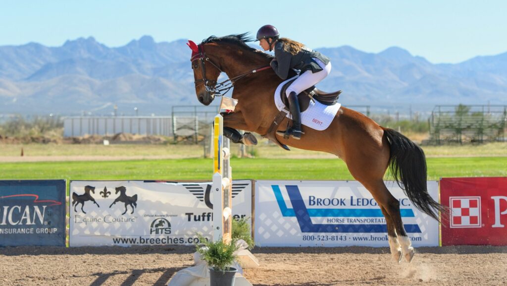 man riding on back of horse