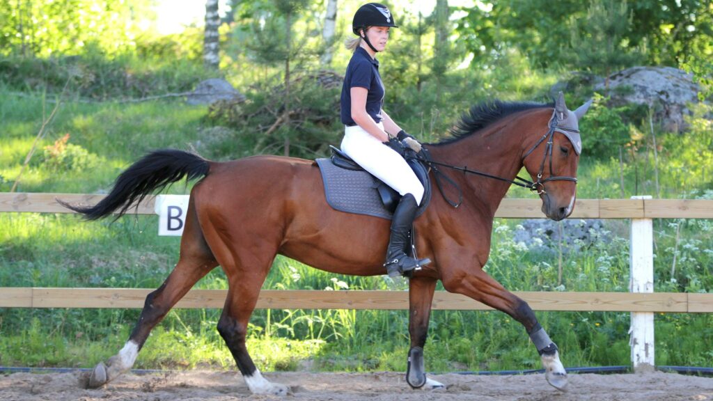 woman in blue shirt riding brown horse during daytime
