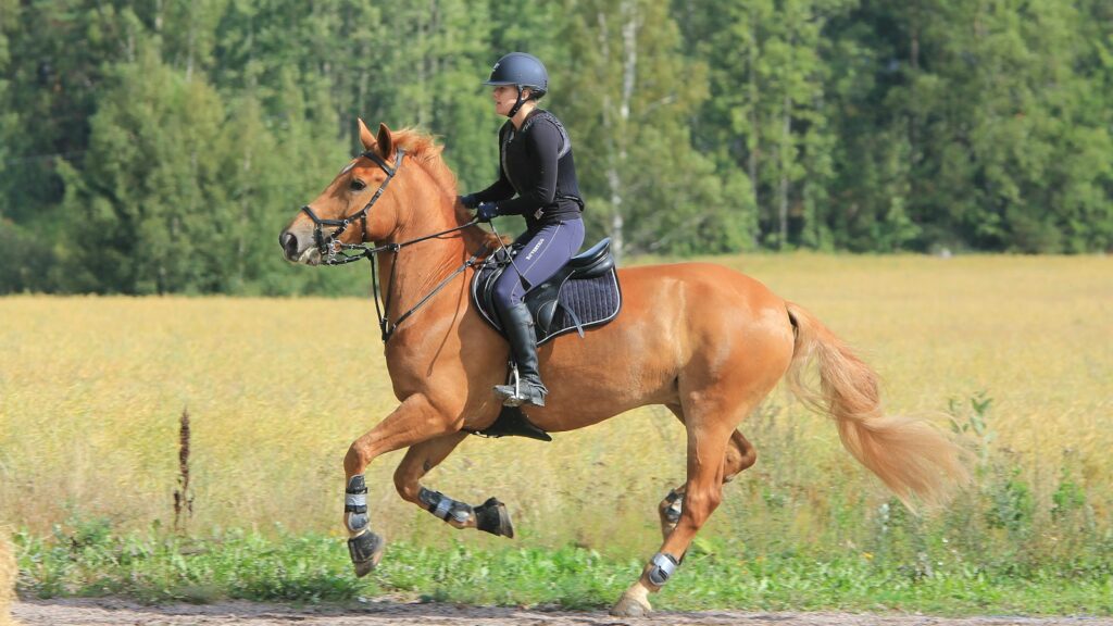 woman in black leather jacket riding brown horse during daytime