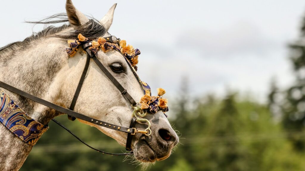 brown horse